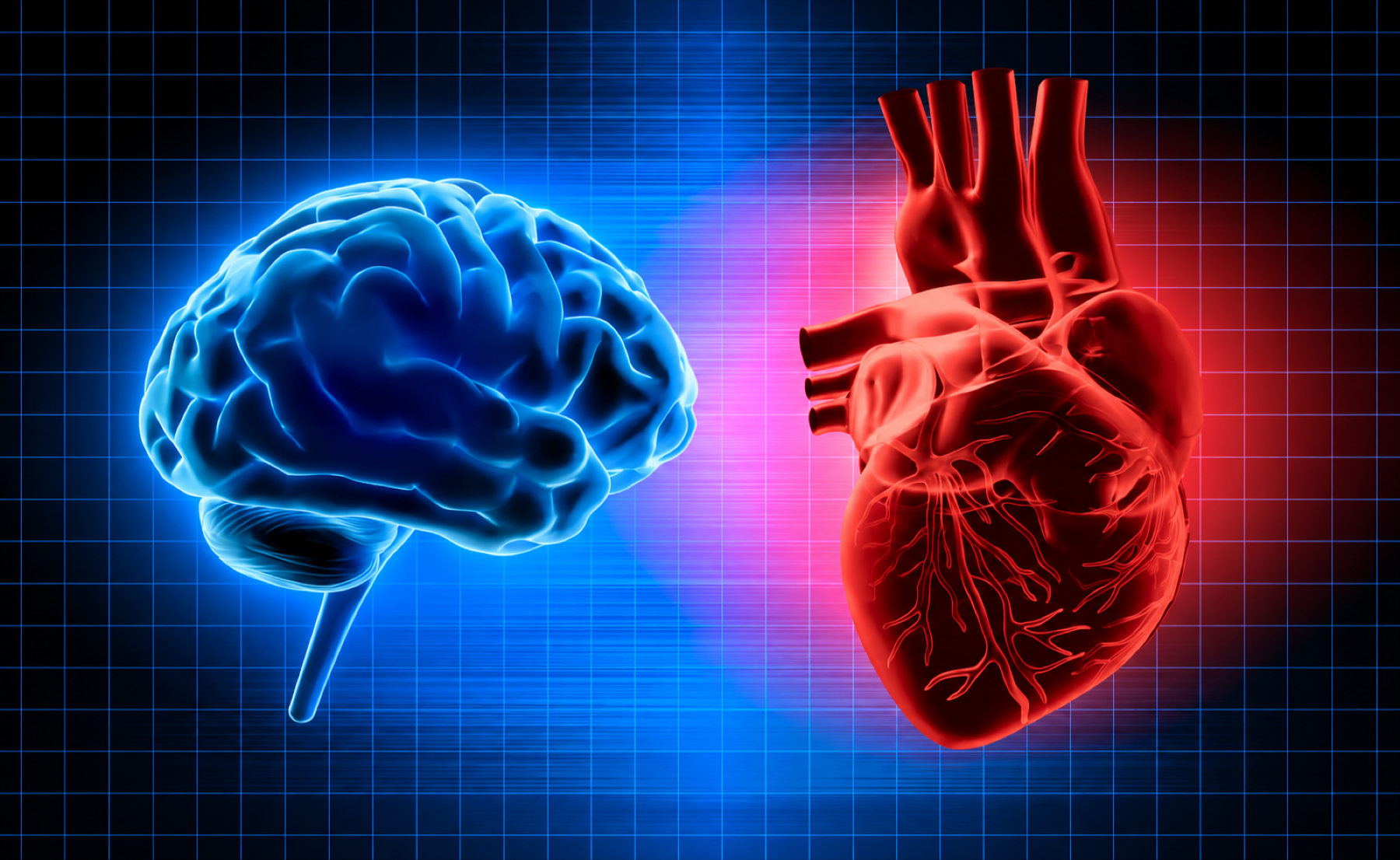 A visual connection between the brain and heart.